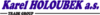 Partners Logo